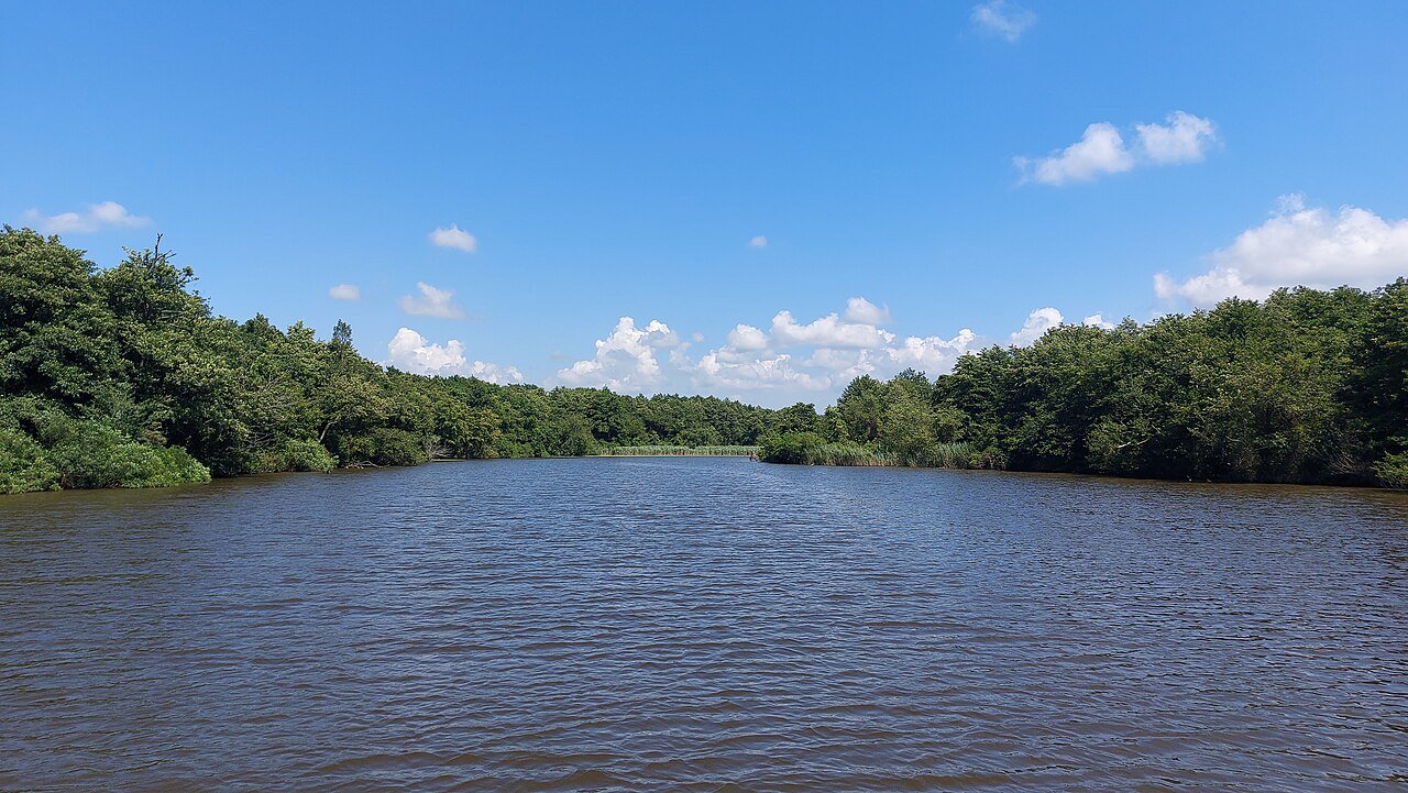 Wetland landscape and calm water in Kolkheti National Park