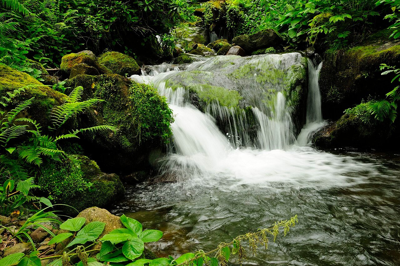 A forest waterfall flowing through Mtirala National Park