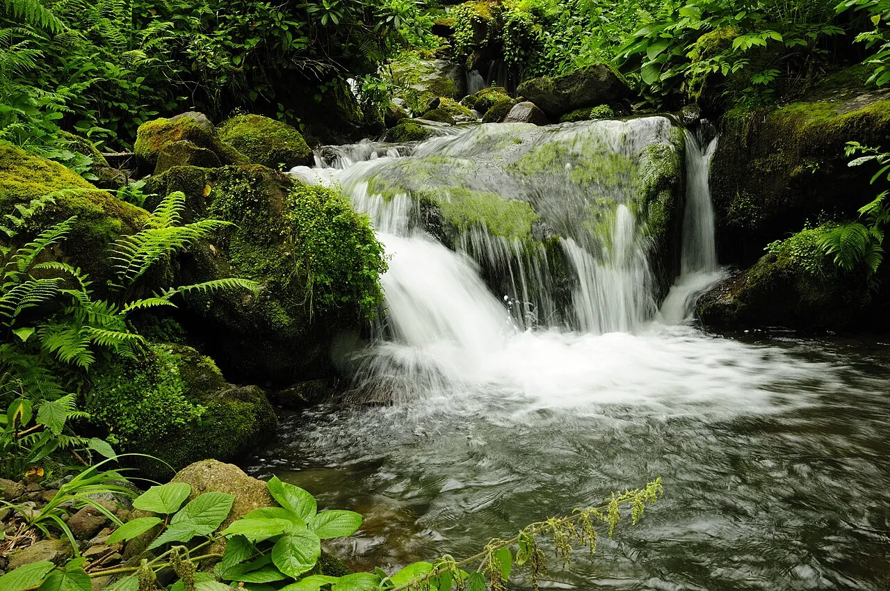 A forest waterfall flowing through Mtirala National Park